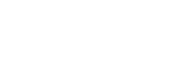 Team Nic The Agency Logo